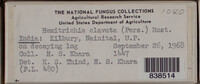 Image Associated With the Occurence